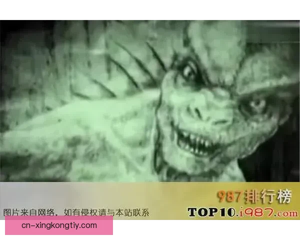 斯帕莱蒂称奥梅恩猎豹伊卡迪蛇